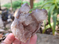 Natural Phantom Smokey Quartz Clusters x 6 From Luena, Congo