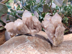 Natural Phantom Smokey Quartz Clusters x 6 From Luena, Congo - Toprock Gemstones and Minerals 