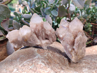 Natural Phantom Smokey Quartz Clusters x 6 From Luena, Congo