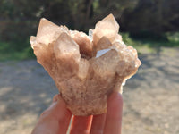 Natural Phantom Smokey Quartz Clusters x 6 From Luena, Congo