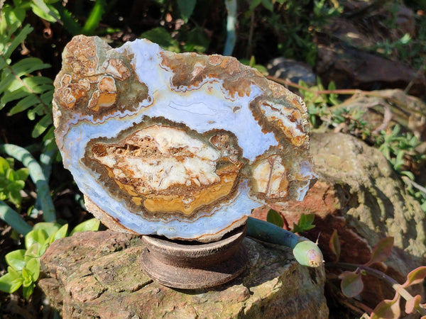 Polished On One Side 'Crazy' Blue Lace Agate x 3 From Namibia