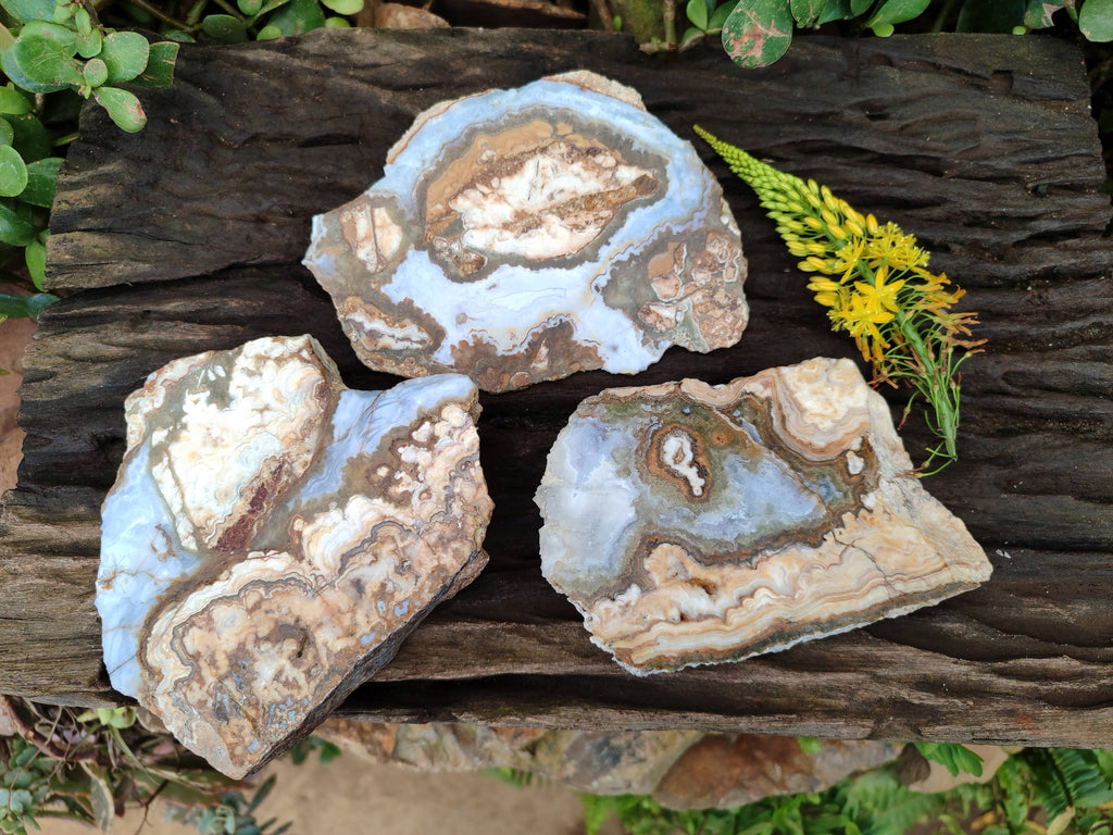 Polished On One Side 'Crazy' Blue Lace Agate x 3 From Namibia - Toprock Gemstones and Minerals 
