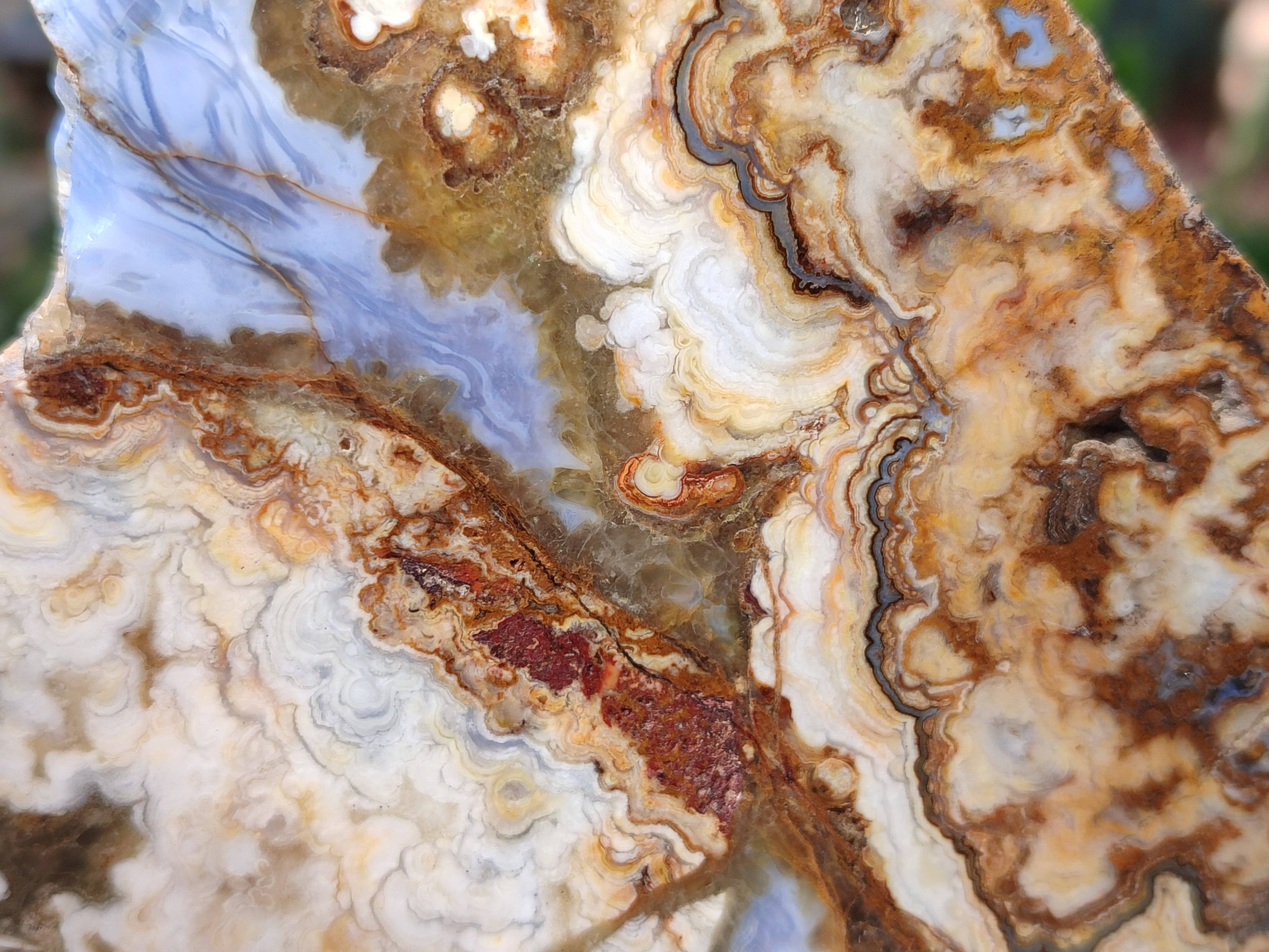 Polished On One Side 'Crazy' Blue Lace Agate x 3 From Namibia - Toprock Gemstones and Minerals 