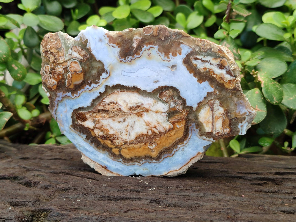 Polished On One Side 'Crazy' Blue Lace Agate x 3 From Namibia - Toprock Gemstones and Minerals 