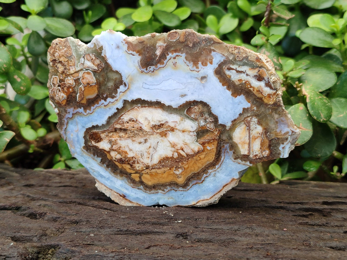 Polished On One Side 'Crazy' Blue Lace Agate x 3 From Namibia - Toprock Gemstones and Minerals 