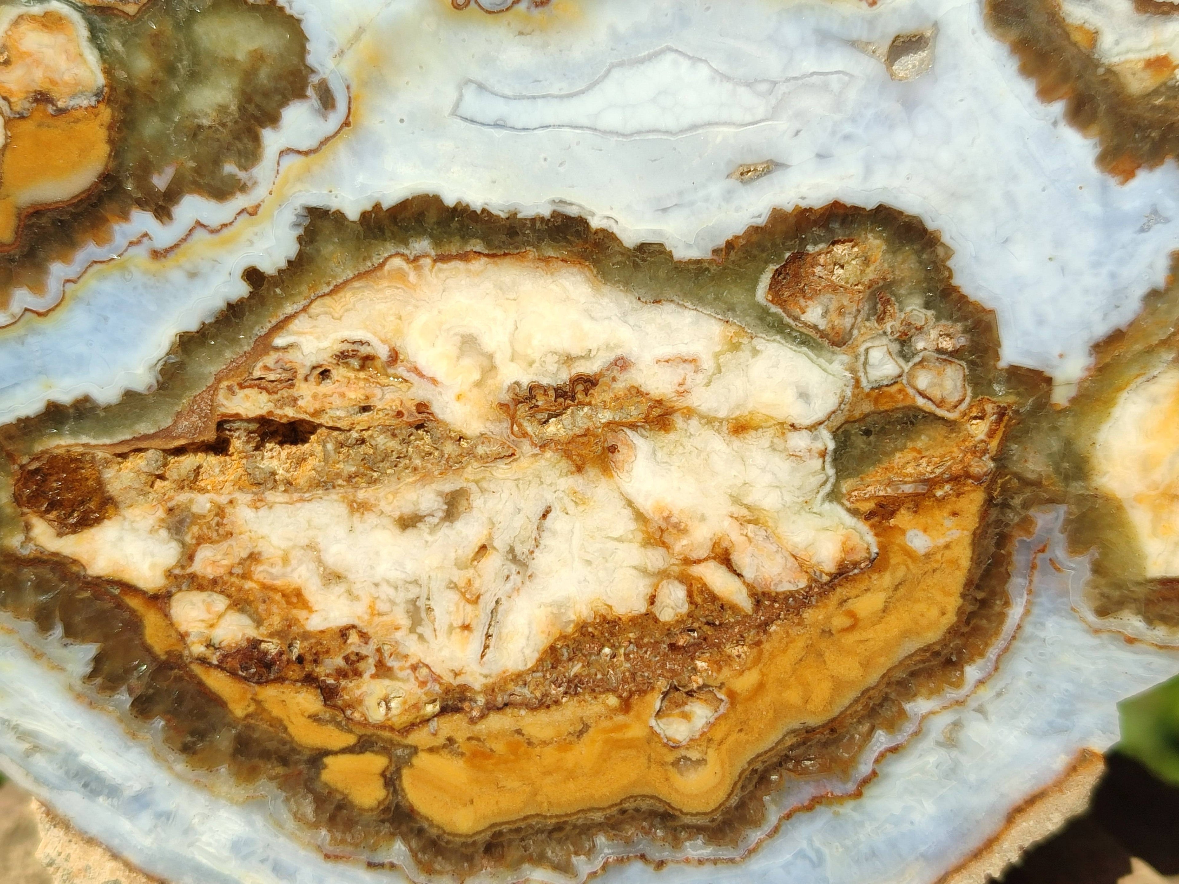 Polished On One Side 'Crazy' Blue Lace Agate x 3 From Namibia - Toprock Gemstones and Minerals 