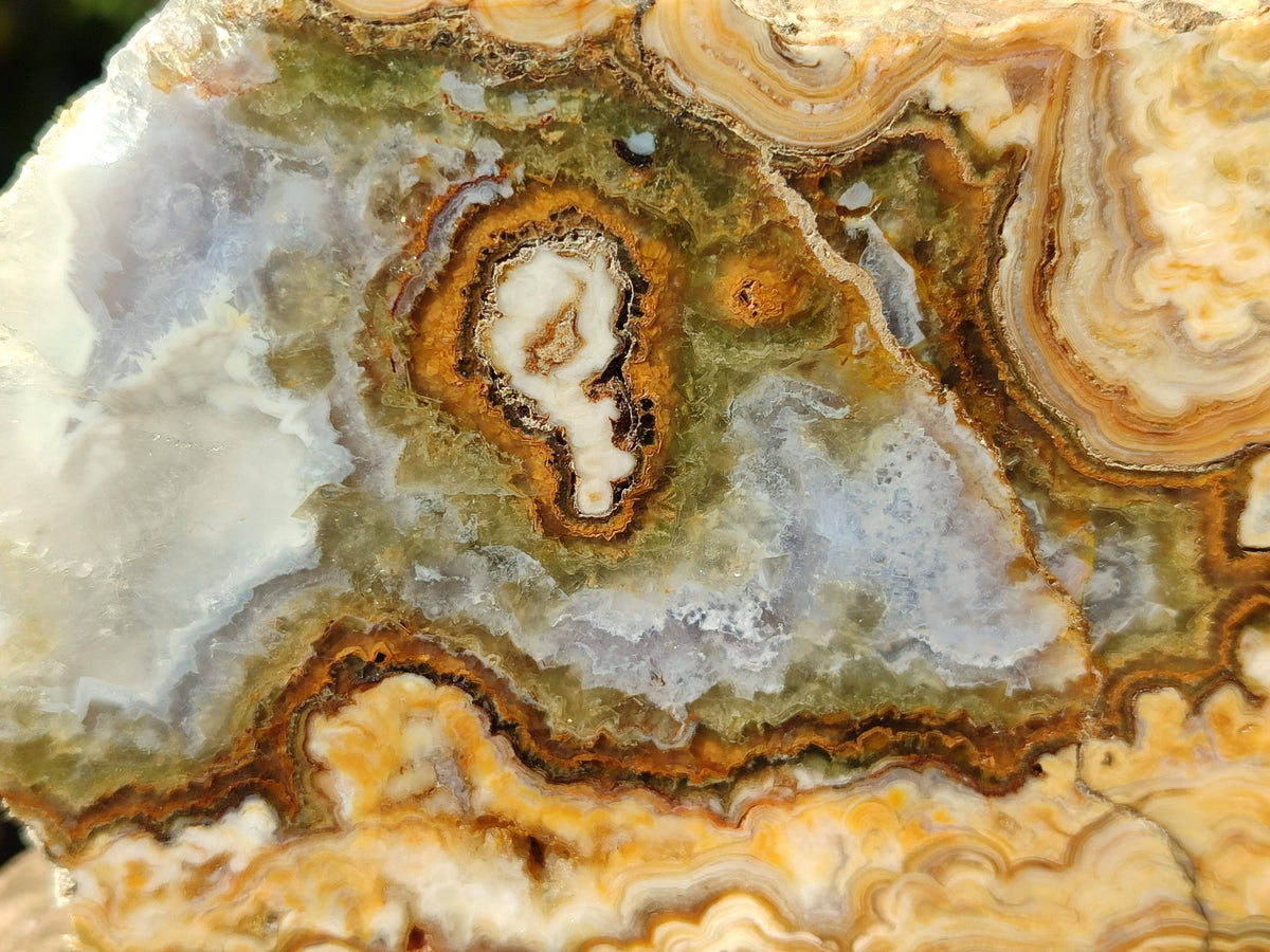 Polished On One Side 'Crazy' Blue Lace Agate x 3 From Namibia - Toprock Gemstones and Minerals 