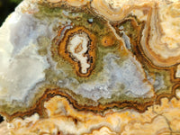 Polished On One Side 'Crazy' Blue Lace Agate x 3 From Namibia