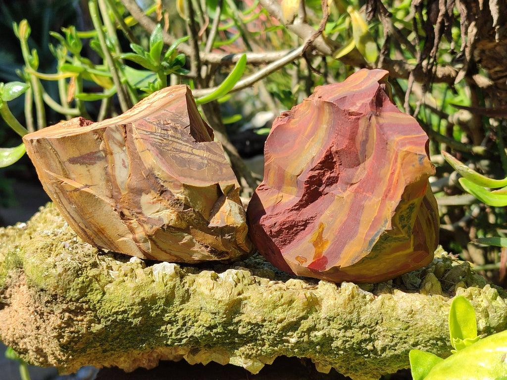Natural Selected Nguni Jasper Cobbed Specimens x 12 From Prieska, South Africa - Toprock Gemstones and Minerals 