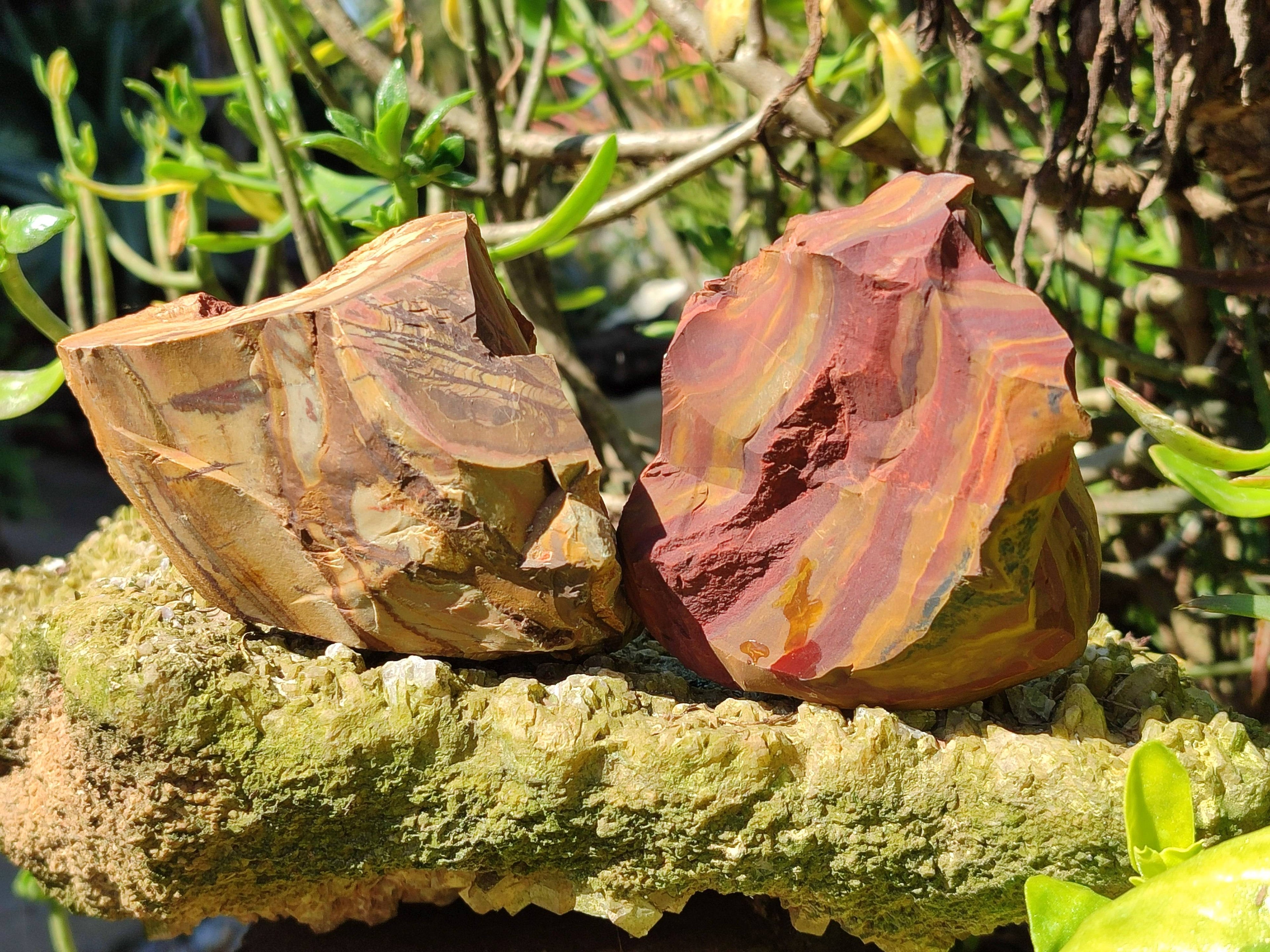 Natural Selected Nguni Jasper Cobbed Specimens x 12 From Prieska, South Africa - Toprock Gemstones and Minerals 