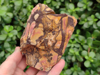 Natural Selected Nguni Jasper Cobbed Specimens x 12 From Prieska, South Africa