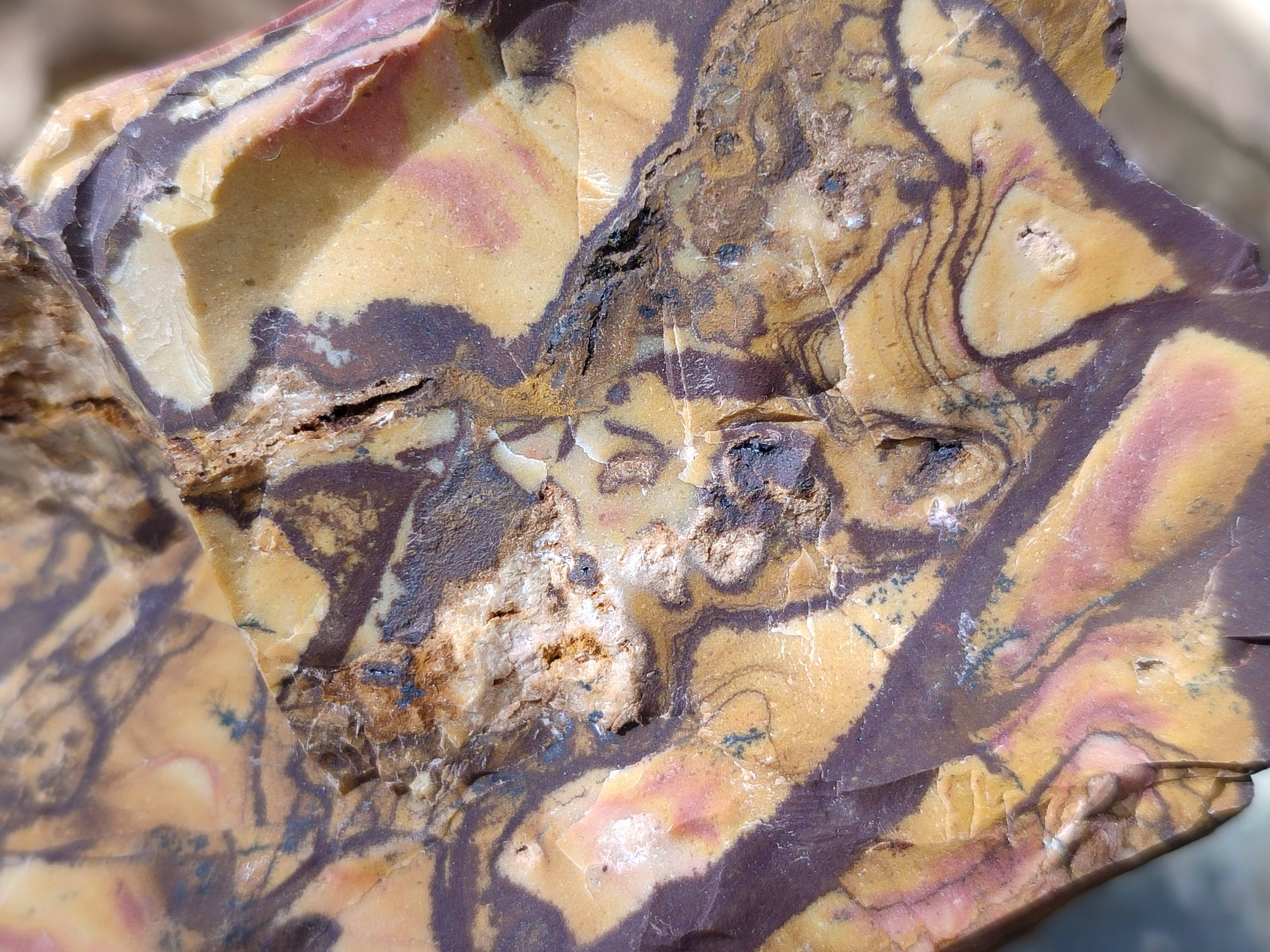 Natural Selected Nguni Jasper Cobbed Specimens x 12 From Prieska, South Africa - Toprock Gemstones and Minerals 