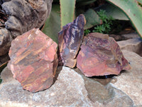 Natural Selected Nguni Jasper Cobbed Specimens x 12 From Prieska, South Africa