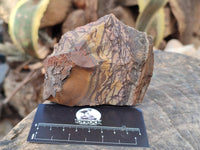 Natural Selected Nguni Jasper Cobbed Specimens x 12 From Prieska, South Africa