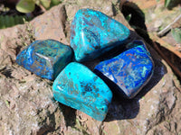 Polished Shattuckite Free Forms x 35 From Congo