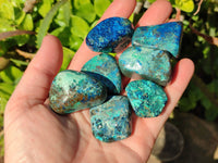Polished Shattuckite Free Forms x 35 From Congo