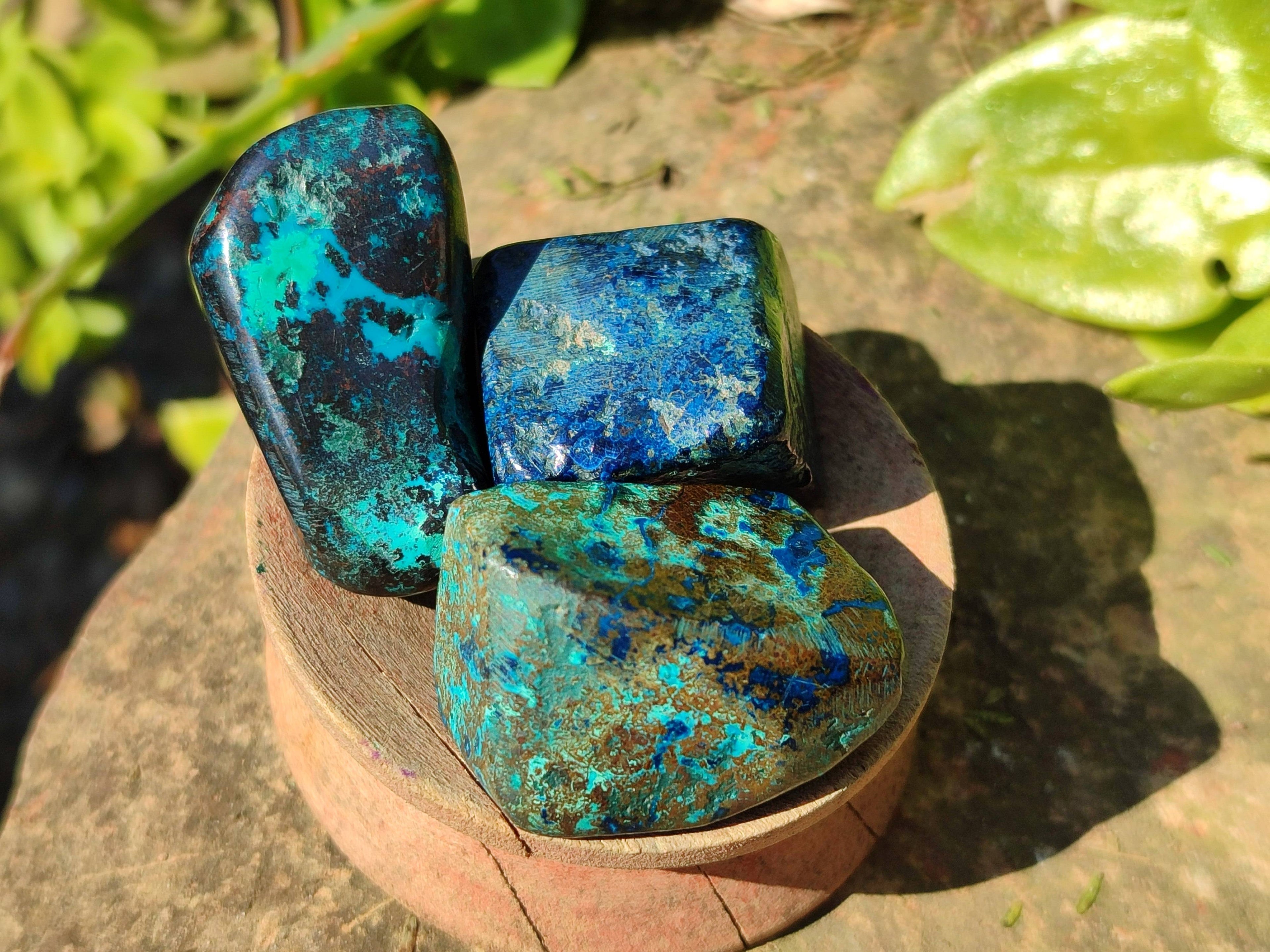 Polished Shattuckite Free Forms x 35 From Congo - Toprock Gemstones and Minerals 