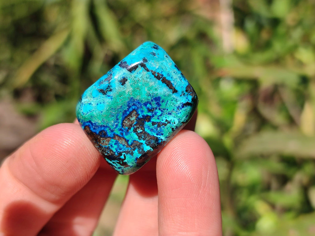Polished Shattuckite Free Forms x 35 From Congo - Toprock Gemstones and Minerals 