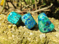 Polished Shattuckite Free Forms x 35 From Congo