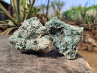 Natural Emerald Mica 'Mutokolite' Specimens x 6 From Mutoko, Zimbabwe