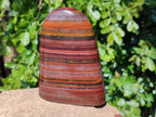 Polished Banded Tiger Iron Standing Free Forms x 2 From South Africa - Toprock Gemstones and Minerals 