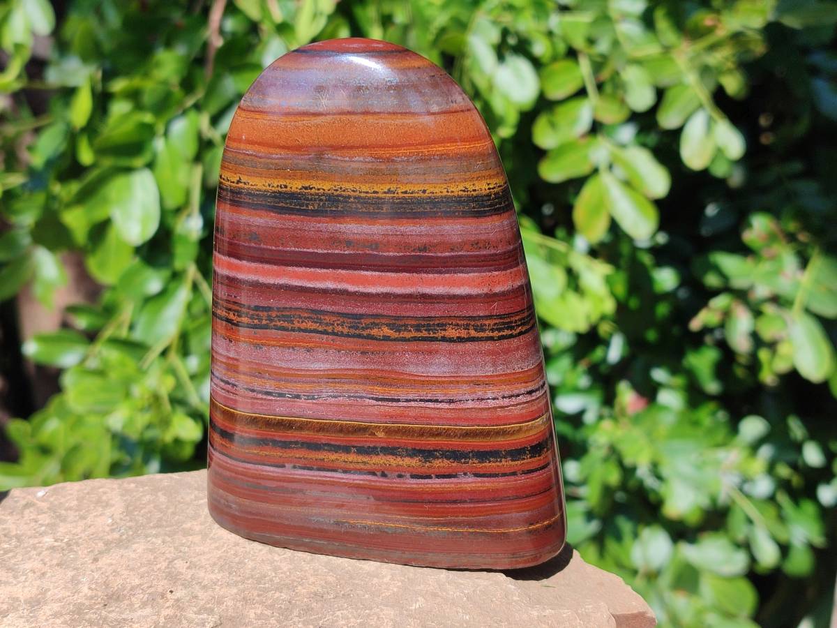 Polished Banded Tiger Iron Standing Free Forms x 2 From South Africa - Toprock Gemstones and Minerals 