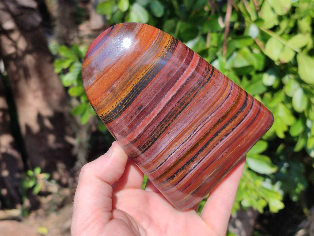 Polished Banded Tiger Iron Standing Free Forms x 2 From South Africa - Toprock Gemstones and Minerals 