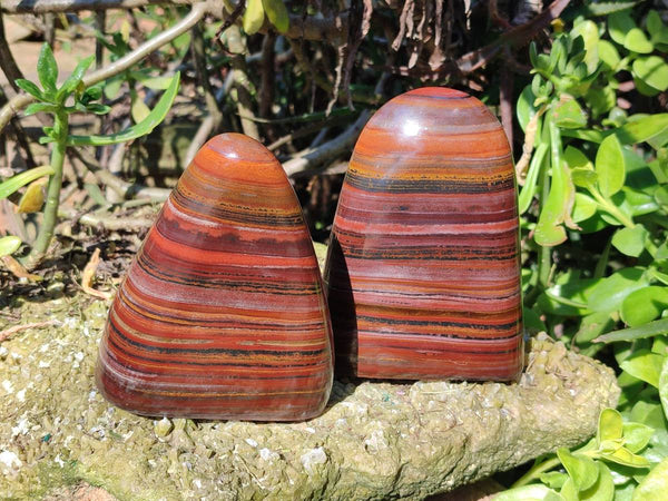 Polished Banded Tiger Iron Standing Free Forms x 2 From South Africa
