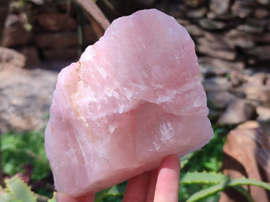 Natural Pink Rose Quartz Cobbed Specimens x 7 From North Cape, South Africa - Toprock Gemstones and Minerals 