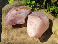 Natural Pink Rose Quartz Cobbed Specimens x 7 From North Cape, South Africa