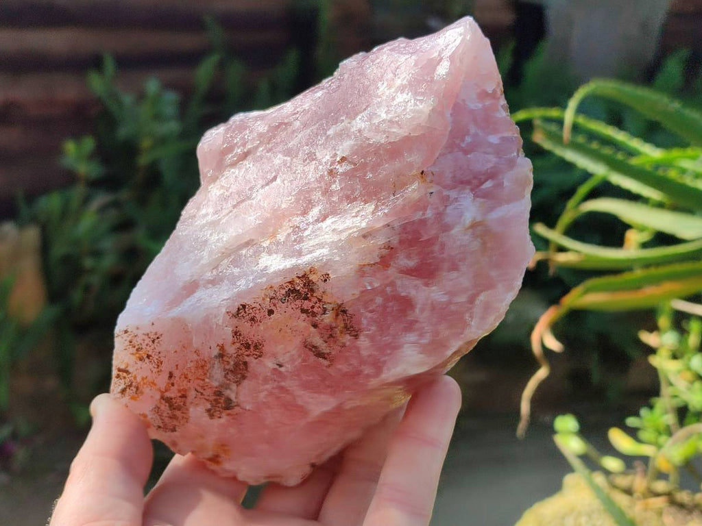Natural Pink Rose Quartz Cobbed Specimens x 7 From North Cape, South Africa - Toprock Gemstones and Minerals 
