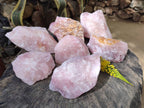 Natural Pink Rose Quartz Cobbed Specimens x 7 From North Cape, South Africa - Toprock Gemstones and Minerals 