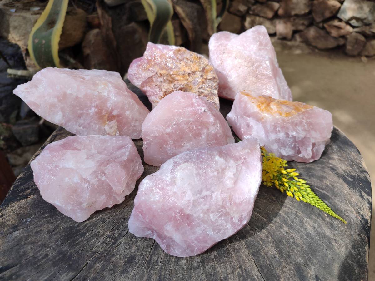 Natural Pink Rose Quartz Cobbed Specimens x 7 From North Cape, South Africa - Toprock Gemstones and Minerals 