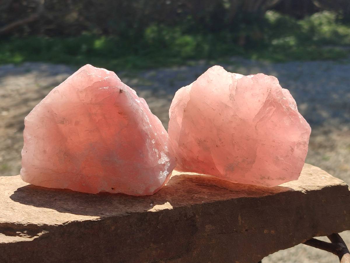 Natural Pink Rose Quartz Cobbed Specimens x 7 From North Cape, South Africa - Toprock Gemstones and Minerals 