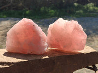 Natural Pink Rose Quartz Cobbed Specimens x 7 From North Cape, South Africa