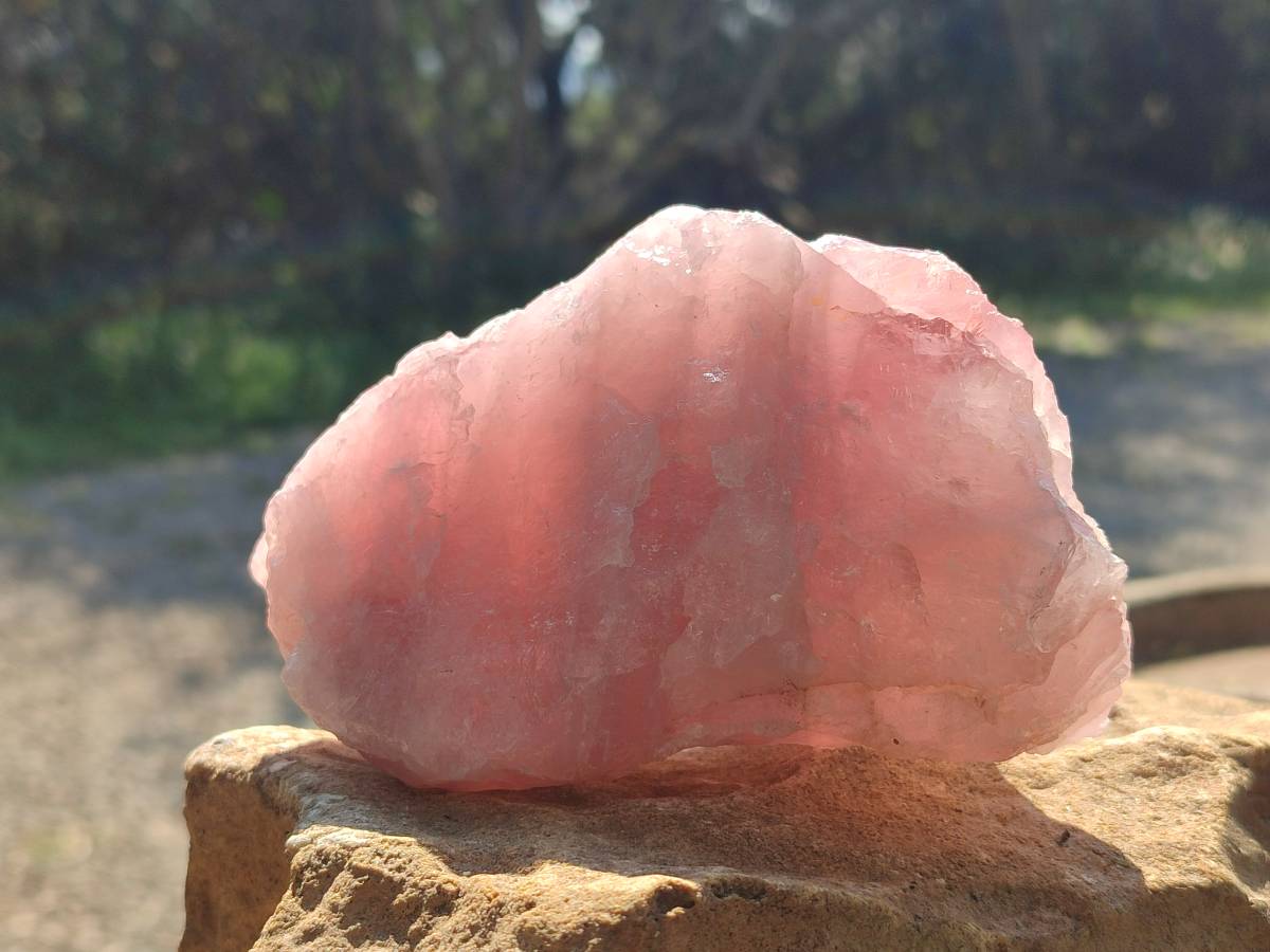 Natural Pink Rose Quartz Cobbed Specimens x 7 From North Cape, South Africa - Toprock Gemstones and Minerals 