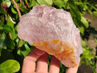 Natural Pink Rose Quartz Cobbed Specimens x 7 From North Cape, South Africa