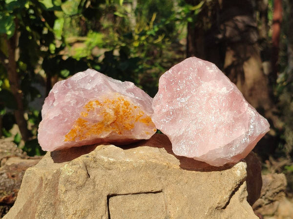 Natural Pink Rose Quartz Cobbed Specimens x 7 From North Cape, South Africa