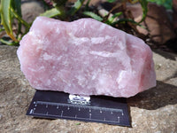 Natural Pink Rose Quartz Cobbed Specimens x 7 From North Cape, South Africa