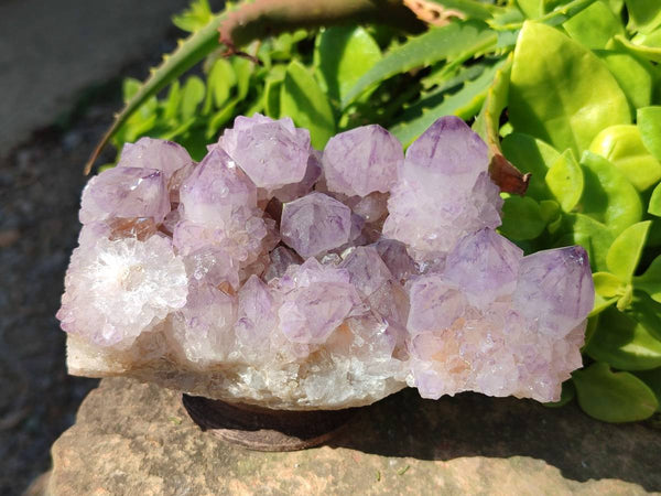 Natural Amethyst Spirit Quartz Clusters x 3 From South Africa