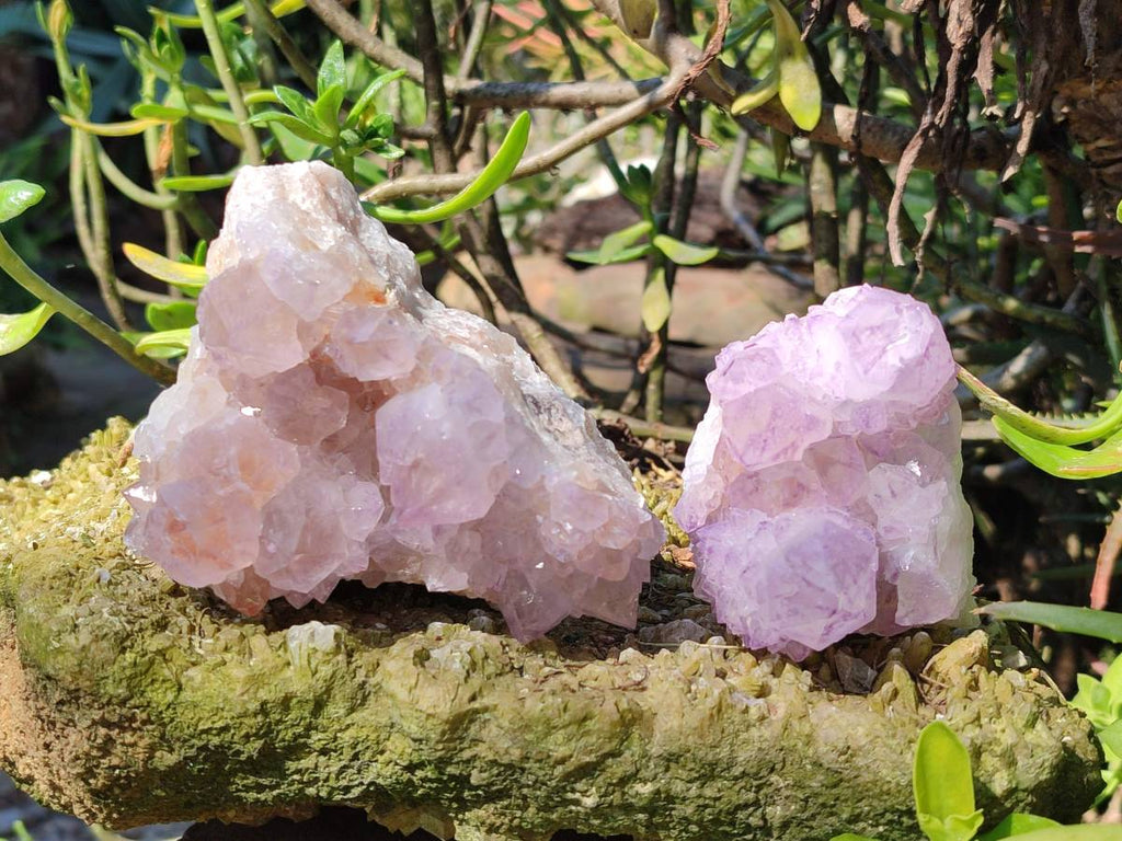 Natural Amethyst Spirit Quartz Clusters x 3 From South Africa - Toprock Gemstones and Minerals 