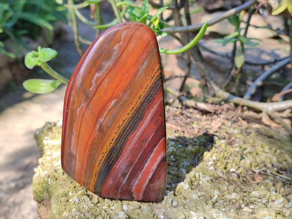 Polished Banded Tiger Iron Standing Free Forms x 3 From South Africa