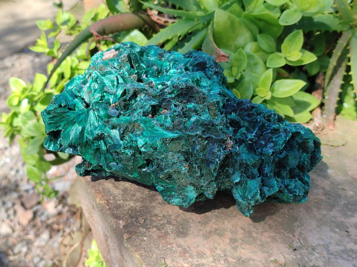 Natural Silky Malachite Specimen x 1 From Kasompe, Congo - Toprock Gemstones and Minerals 