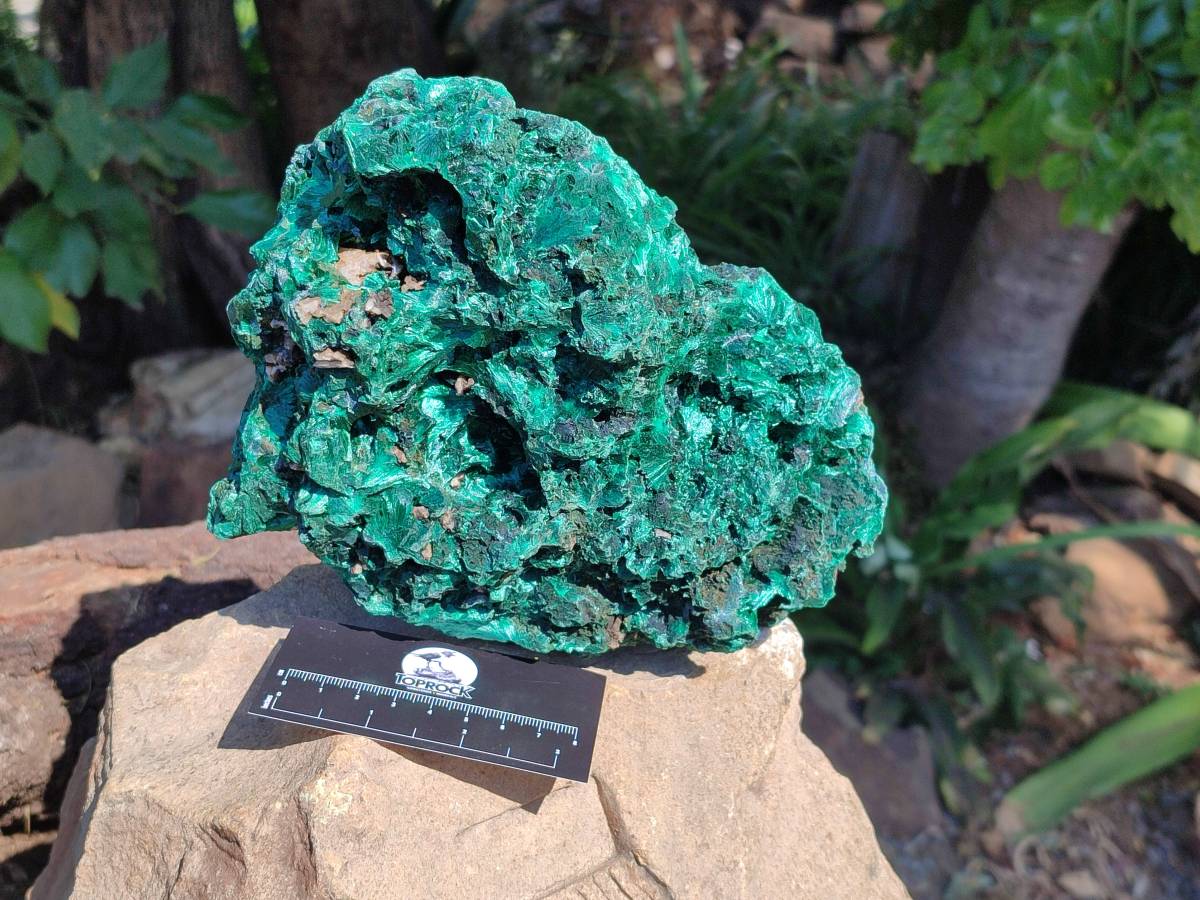 Natural Silky Malachite Specimen x 1 From Kasompe, Congo - Toprock Gemstones and Minerals 