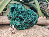 Natural Silky Malachite Specimen x 1 From Kasompe, Congo