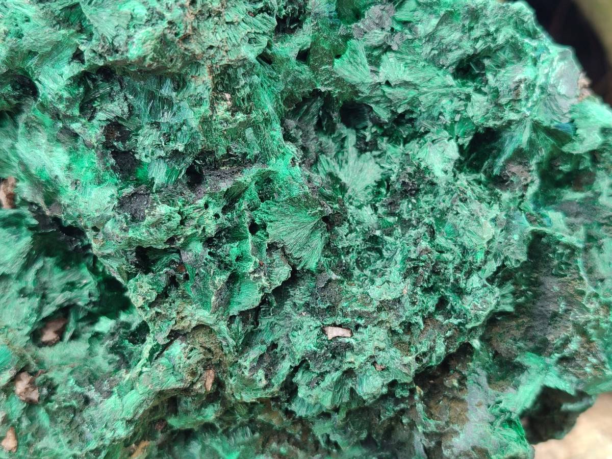 Natural Silky Malachite Specimen x 1 From Kasompe, Congo - Toprock Gemstones and Minerals 
