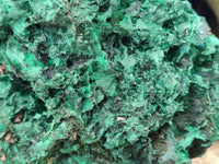 Natural Silky Malachite Specimen x 1 From Kasompe, Congo