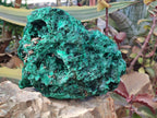Natural Silky Malachite Specimen x 1 From Kasompe, Congo - Toprock Gemstones and Minerals 