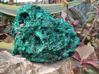 Natural Silky Malachite Specimen x 1 From Kasompe, Congo