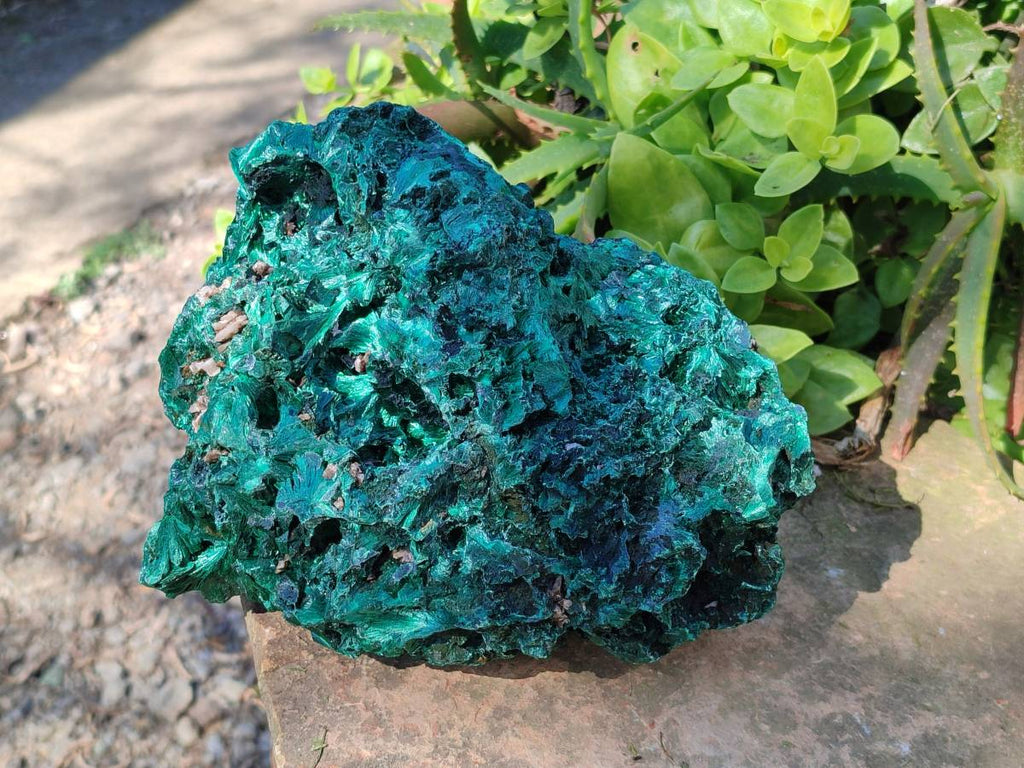Natural Silky Malachite Specimen x 1 From Kasompe, Congo - Toprock Gemstones and Minerals 
